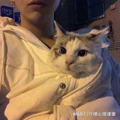 果盘小精灵大作战bt商城版下载